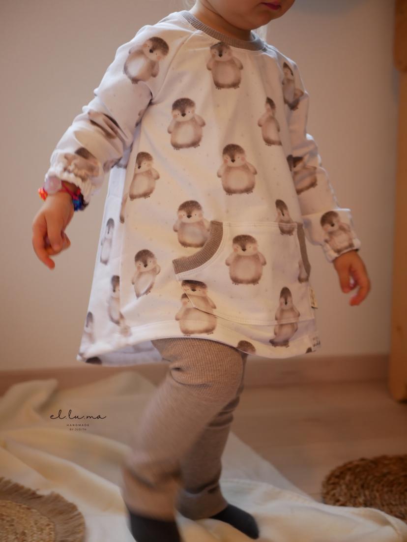 #CloudyHood Sweatshirt 74-164 inkl. A4/ A0/ Beamerdatei