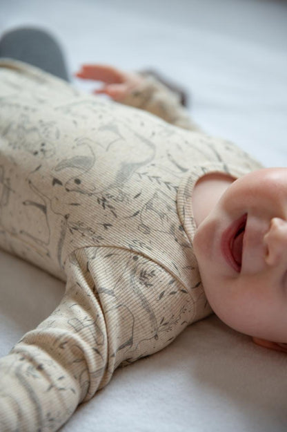 #RibBody Baby Body + Kleid 50-104 inkl. A4/ A0/ Beamerdatei