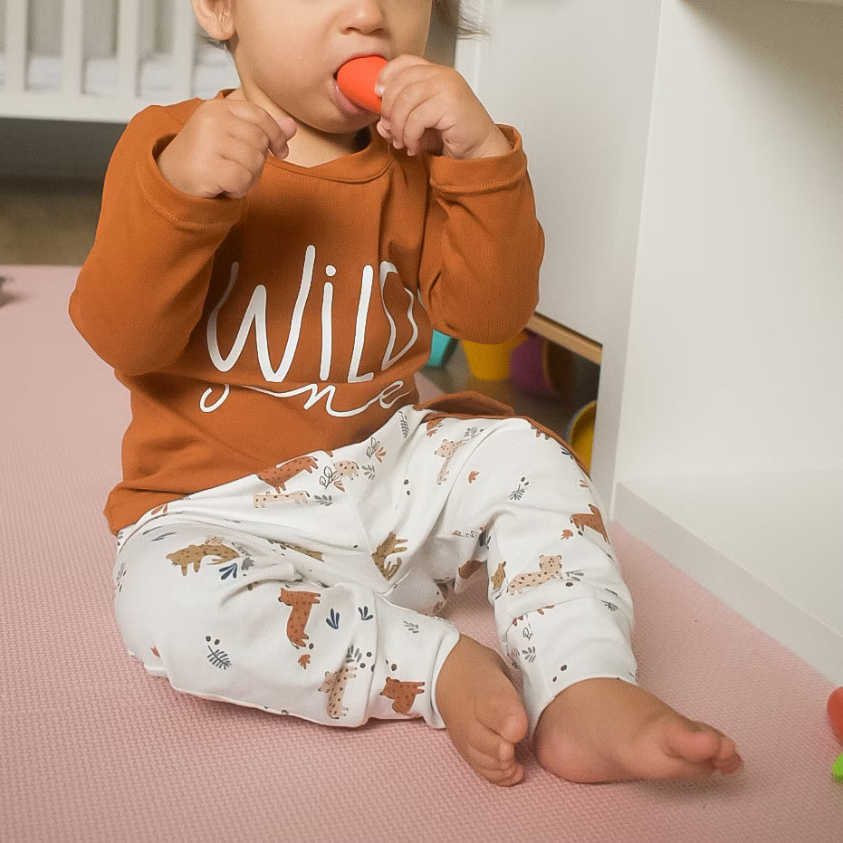 Langarmshirt 'Mieze' 74 - 170 inkl. A4/ A1/ Beamerdatei